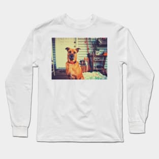 Black mouth cur dog. Long Sleeve T-Shirt